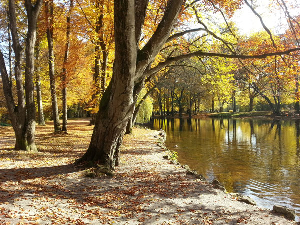 Bäume und Teich im Kurpark im Herbst Bäume und Teich im Kurpark im Herbst