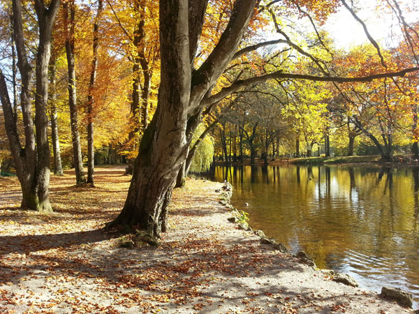 Bäume und Teich im Kurpark im Herbst